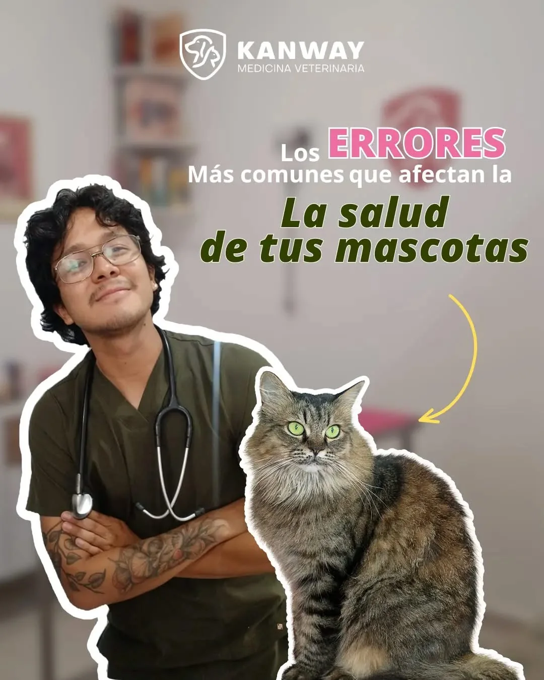 Consejos de salud para mascotas