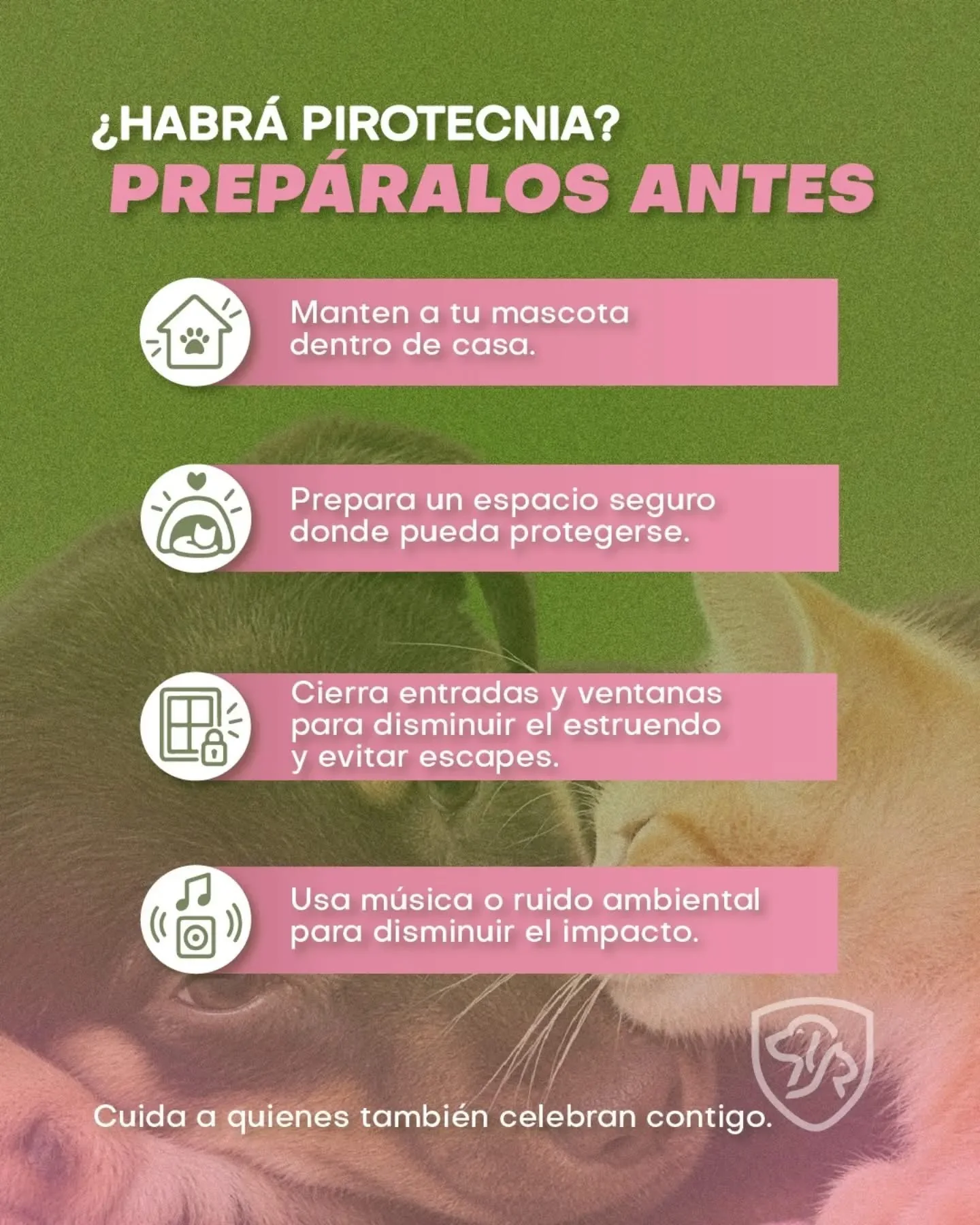 Consejos para proteger mascotas de pirotecnia