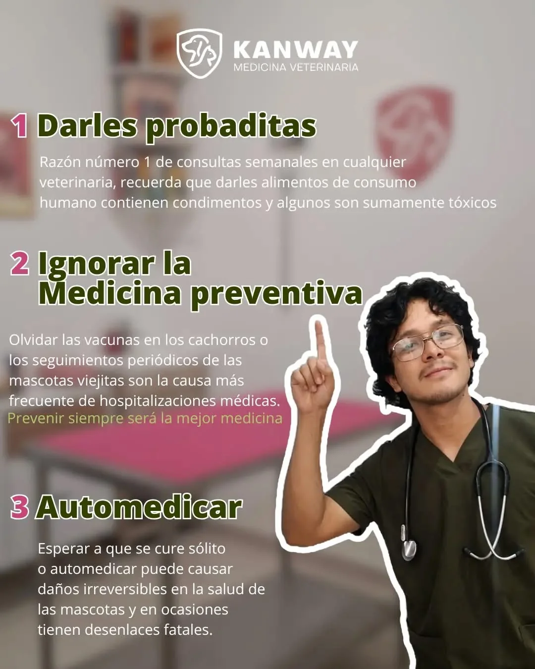 Medicina preventiva para mascotas